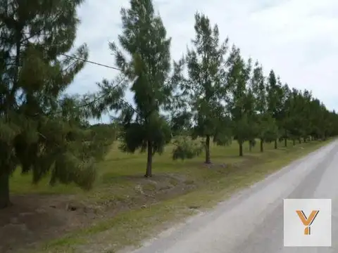 Terreno en Venta en Countries y Barrios Cerrados en Brandsen, USD 24.000