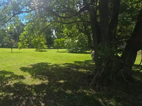 Quinta en Venta de 1 dormitorio