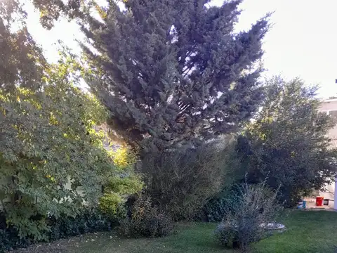 Casa en Venta 30 años