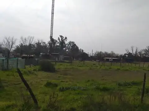 Felipe Varela 100 | Lote 7 y 100