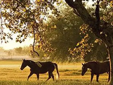 Terreno en Venta de 4283,0 m2