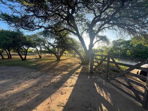 Terreno en Venta de 1092,0 m2