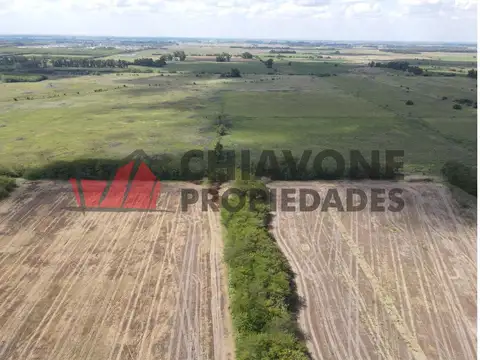 Campo - Marcos Paz