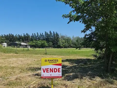 Estanislao del Campo y 192 100