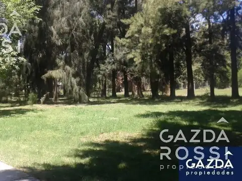 Chagas e/Vieytesy Montes de Oca