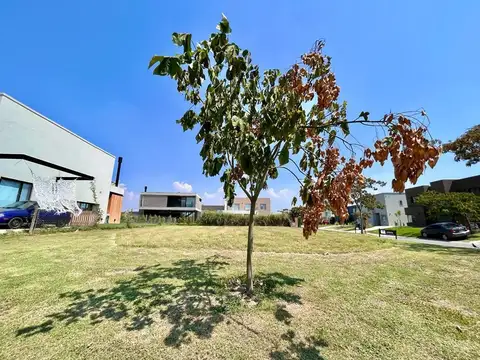 Terreno en Venta de 594,0 m2
