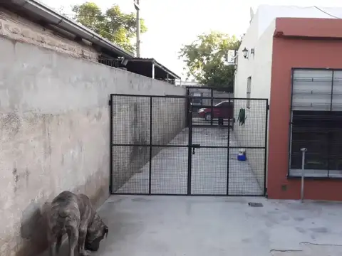 Blasco Ibañez 4300