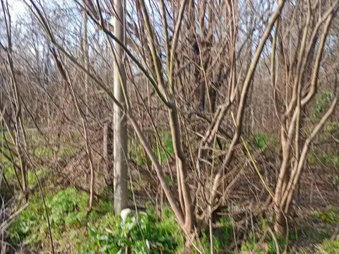 Terreno en Venta de 1901,0 m2