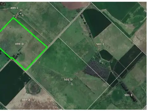 Magnífico campo en Suipacha de aptitud agrícola y ganadera con arboleda y casa a refaccionar