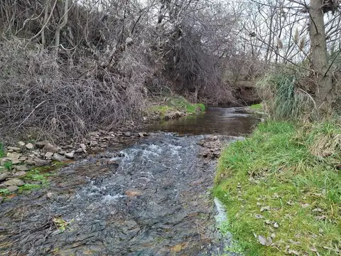 Casa 2 ambientes con 1 baño