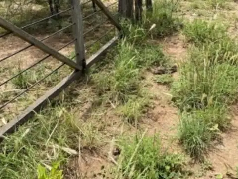 Campo en Venta de 87  ha