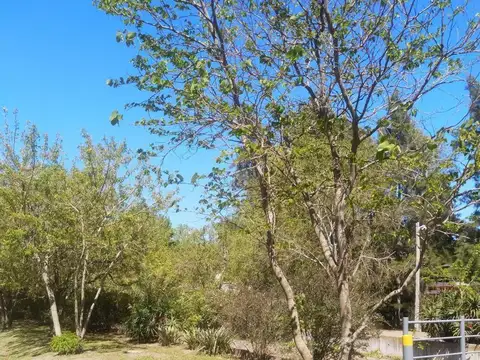 Casa en Venta 15 años
