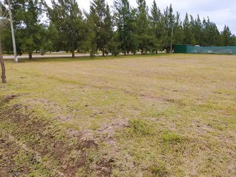 Campos de Roca II RUTA 2 km65, Coronel Brandsen, Buenos Aires, Argentina, Coronel Brandsen, Buenos Aires, Argentina