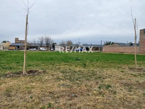 Terreno en Venta en General Roca, USD 59.500