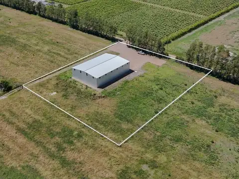 Galpon en Alquiler A Estrenar