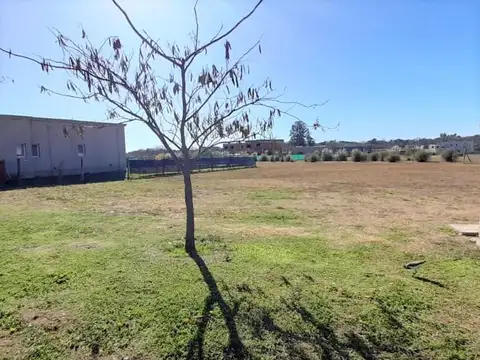 Terreno en Venta de 597,0 m2