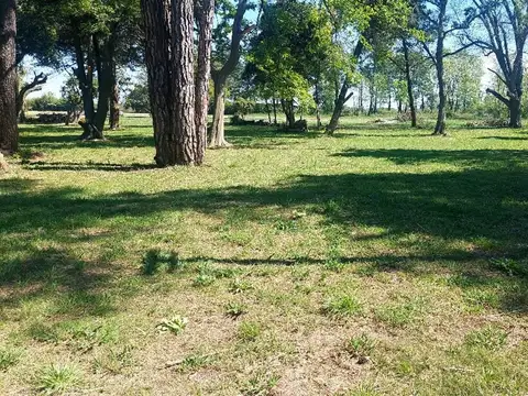 Apatamas