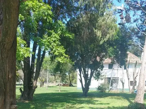 Apatamas