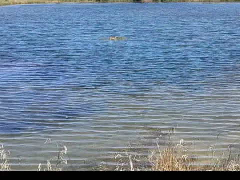 Terreno en Venta en Coronel Brandsen, USD 20.000