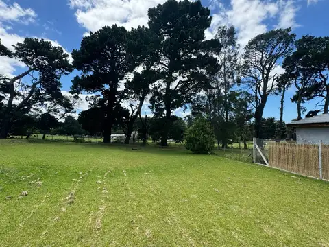 Padre Luis Vareto y Los Jesuitas