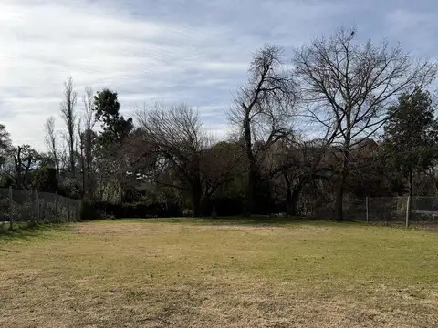Aristóbulo del Valle al 2600
