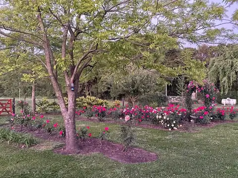 Ruta 5 Kilometro 101