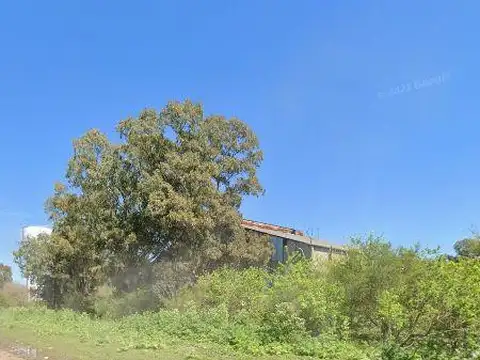 Alquiler Excelente Terreno industrial 22.288 mts Carlos Spegazzini
