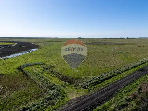 Ruta Provincial 11 300