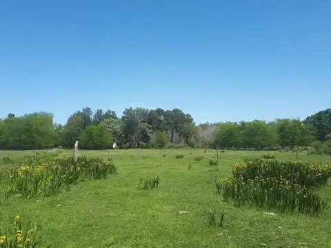 Espectacular Quinta de 12.000 m2 en Ingeniero Maschwitz