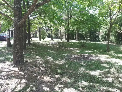 Terreno en Venta de 12000,0 m2