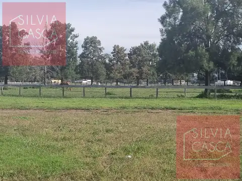 Terreno en Venta 67  mts Fondo