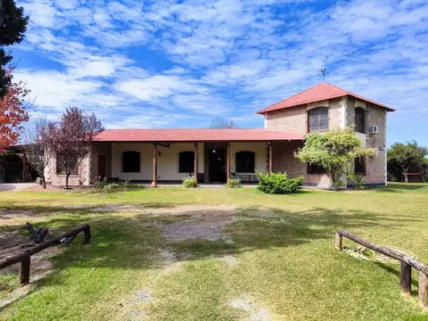 Godofredo Paladini 1100