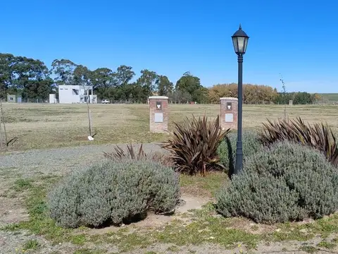 Terreno en Venta de 980,0 m2
