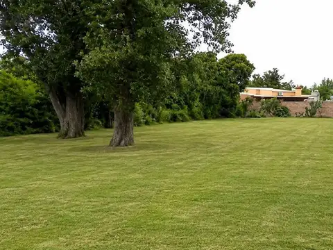Lote de 414 m2 en Felicia