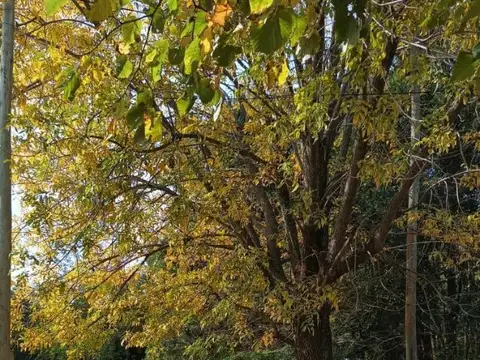 Terreno en Venta 35,75  mts Fondo