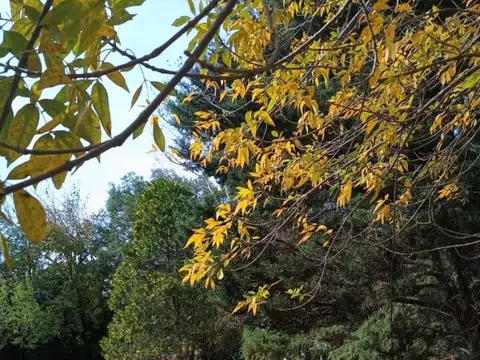 Muy Lindo Lote enVenta Ubicado en Parque Pellegrini II, Pilar, Zona Norte