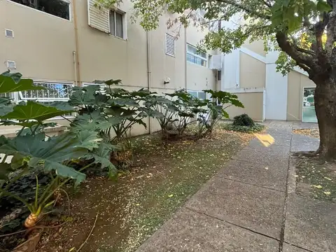 Dorrego 588