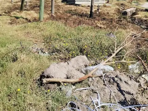 Terreno en Venta en General Rodriguez, USD 175.000