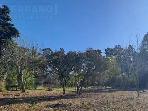 Terreno en Venta 38  mts Frente