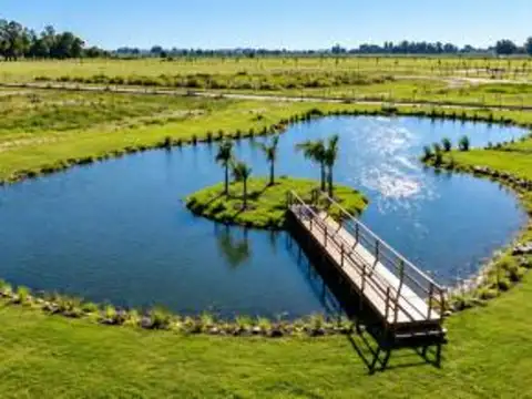 LOTE 700 M² EN HARAS ANDREA VIRGINIA – NATURALEZA