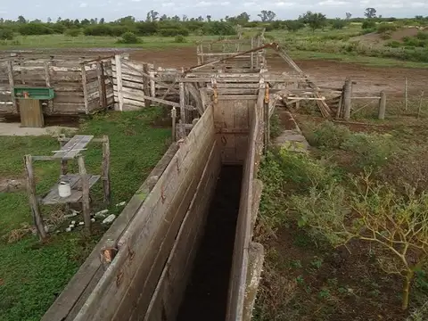 Las Avispas - San Cristobal