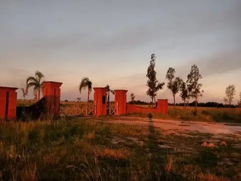 Campo Mixto 5.000 hectareas Las Avispas - Santa Fe