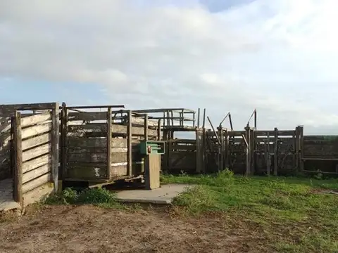 Campo Mixto 5.000 hectareas Las Avispas - Santa Fe