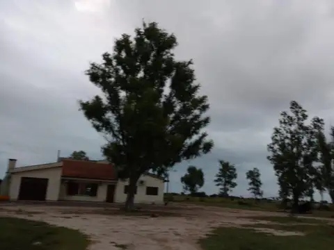 Campo Mixto 5.000 hectareas Las Avispas - Santa Fe