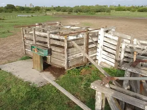 Campo Mixto 5.000 hectareas Las Avispas - Santa Fe
