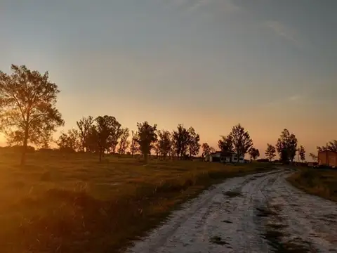 Las Avispas - San Cristobal