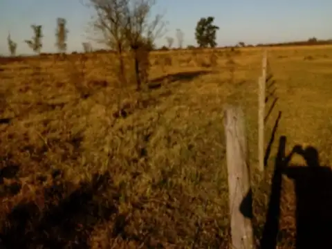 Campo en Venta de 5.000  ha