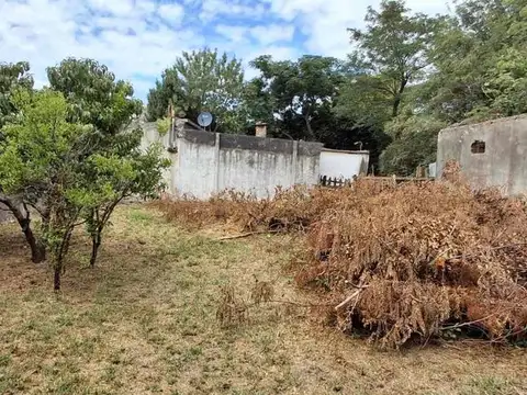Faisan solar