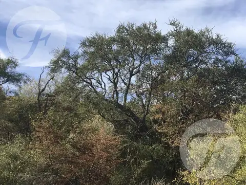 San Javier (cba) I Campo 18.5 ha