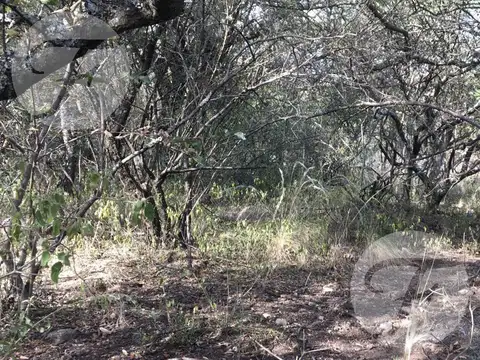 San Javier (cba) I Campo 18.5 ha